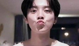 鹿晗爸爸天涯爆料视频大全,揭秘明星家庭背后的故事